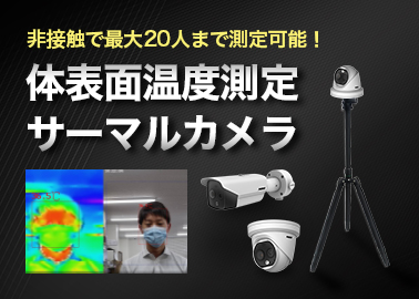 実績